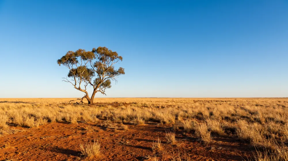 CQ Audiology visiting clinic in Longreach
